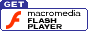 Download Flash